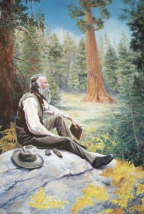 John Muir painting by Colleen Veyna