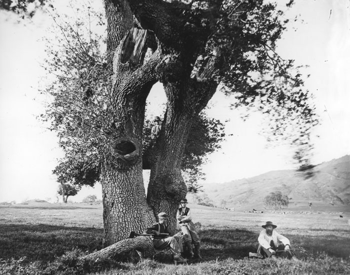 Santa Clara Valley 1868