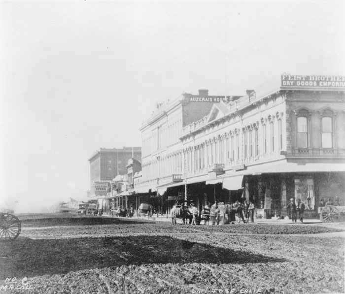 Santa Clara Valley 1868