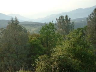 john muir walk- the wilderness around us