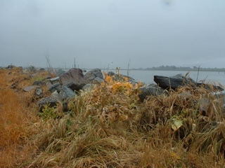 re-walking John Muir
