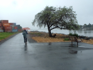 re-walking John Muir