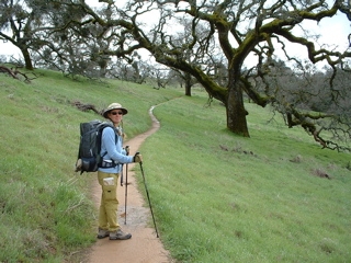 john muir walk