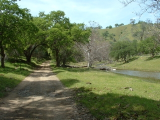 john muir walk